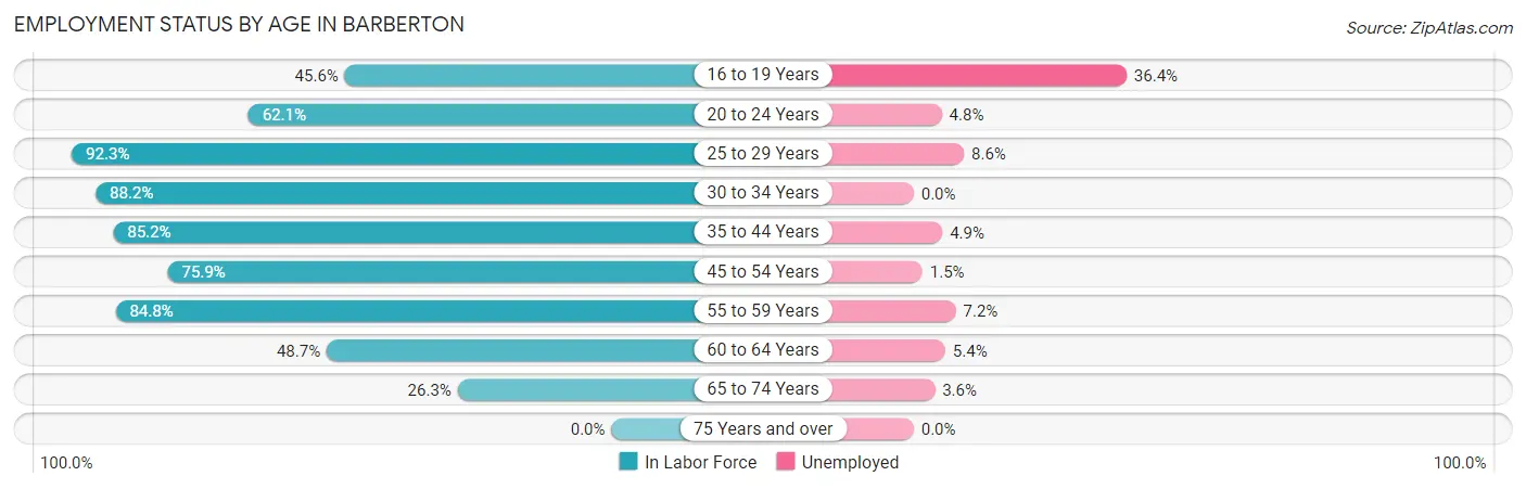Employment Status by Age in Barberton