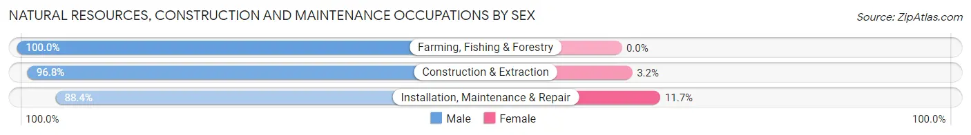 Natural Resources, Construction and Maintenance Occupations by Sex in Barberton