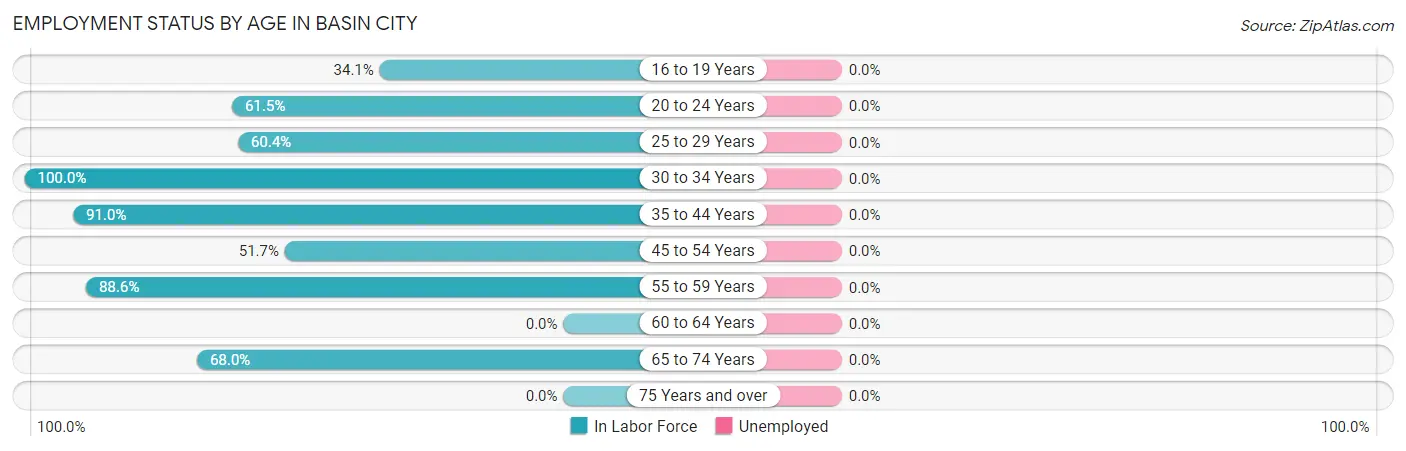 Employment Status by Age in Basin City