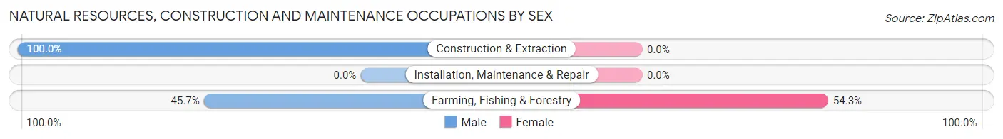 Natural Resources, Construction and Maintenance Occupations by Sex in Basin City