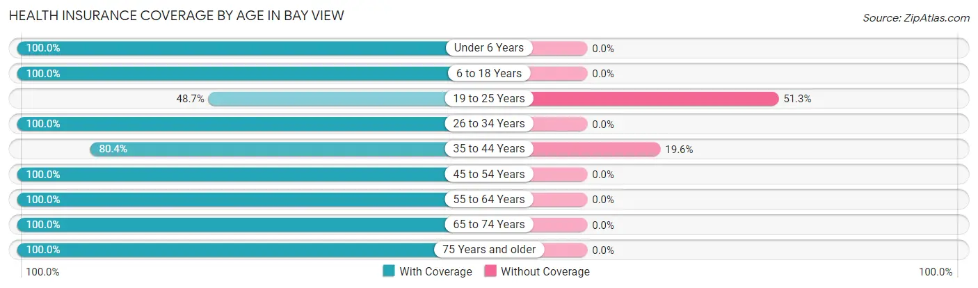 Health Insurance Coverage by Age in Bay View