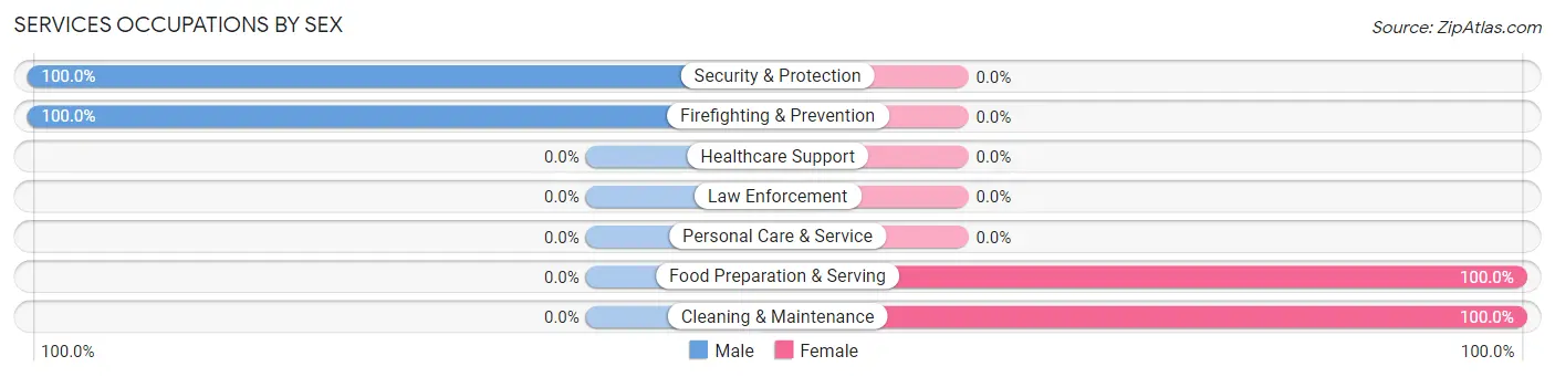 Services Occupations by Sex in Bay View