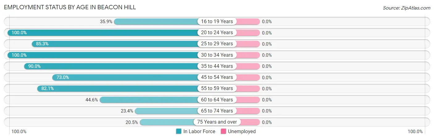 Employment Status by Age in Beacon Hill