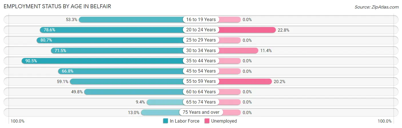 Employment Status by Age in Belfair