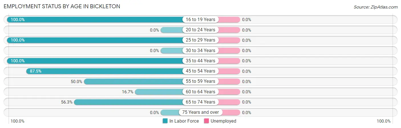 Employment Status by Age in Bickleton