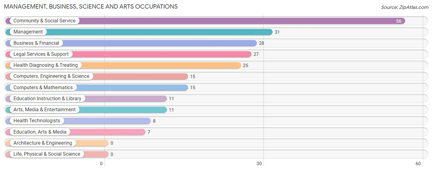 Management, Business, Science and Arts Occupations in Bingen