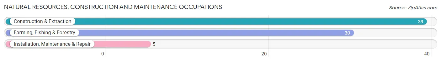 Natural Resources, Construction and Maintenance Occupations in Bingen