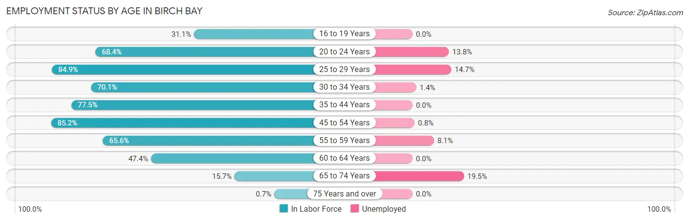 Employment Status by Age in Birch Bay