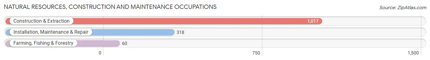 Natural Resources, Construction and Maintenance Occupations in Bothell