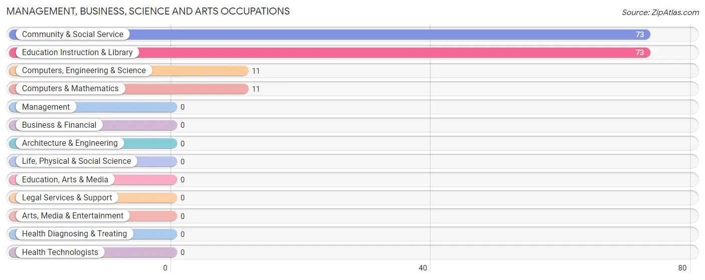 Management, Business, Science and Arts Occupations in Brady