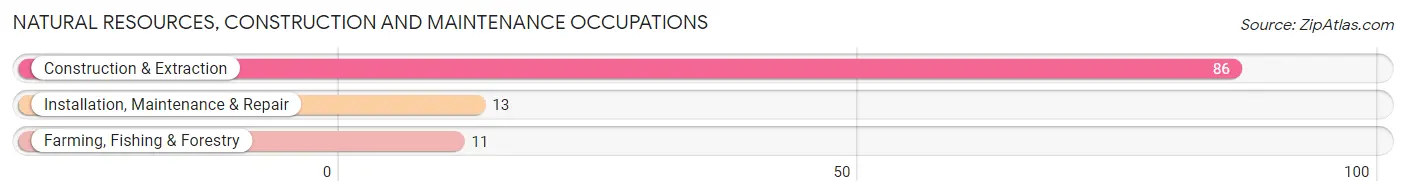 Natural Resources, Construction and Maintenance Occupations in Brady