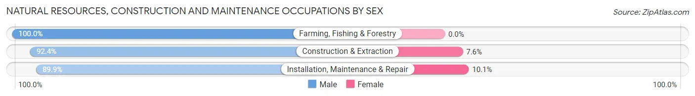 Natural Resources, Construction and Maintenance Occupations by Sex in Bremerton