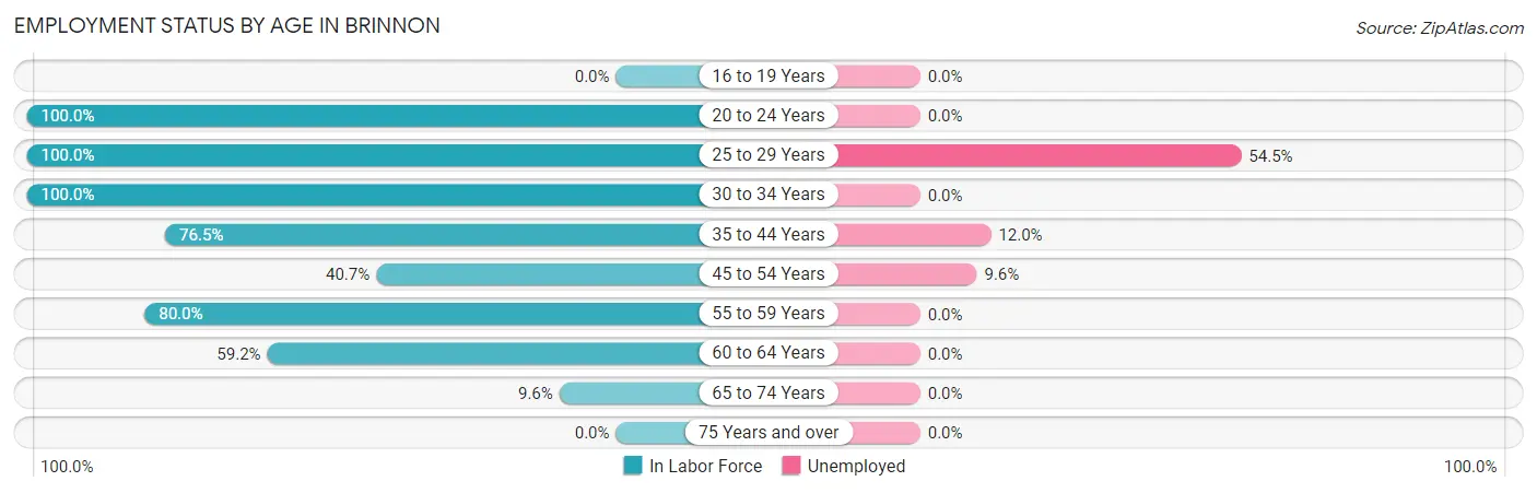 Employment Status by Age in Brinnon