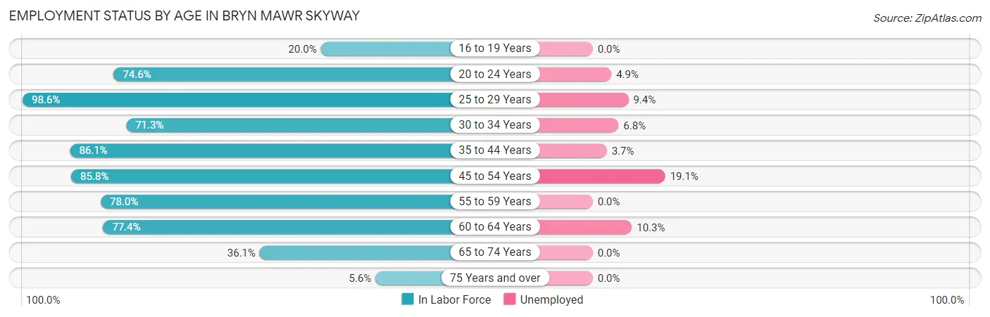 Employment Status by Age in Bryn Mawr Skyway