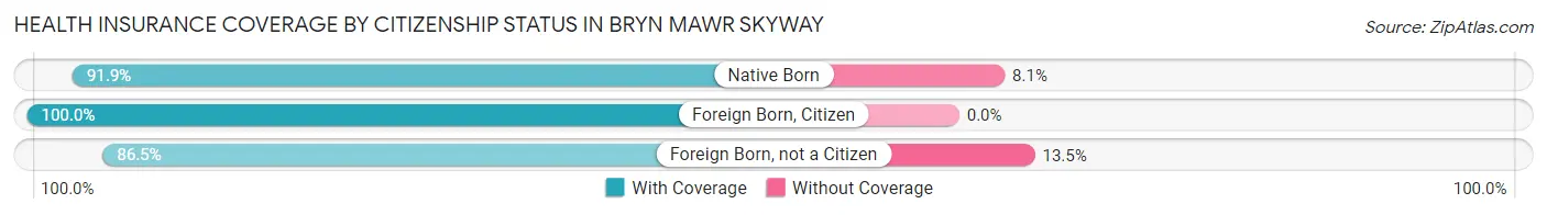 Health Insurance Coverage by Citizenship Status in Bryn Mawr Skyway