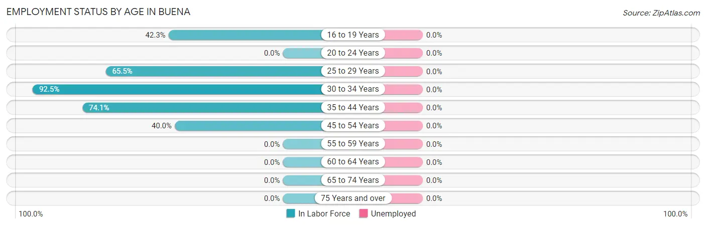 Employment Status by Age in Buena