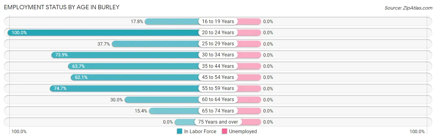 Employment Status by Age in Burley