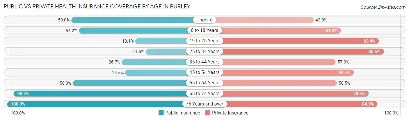 Public vs Private Health Insurance Coverage by Age in Burley
