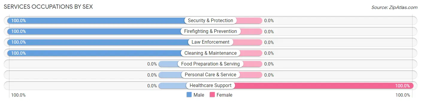 Services Occupations by Sex in Burley