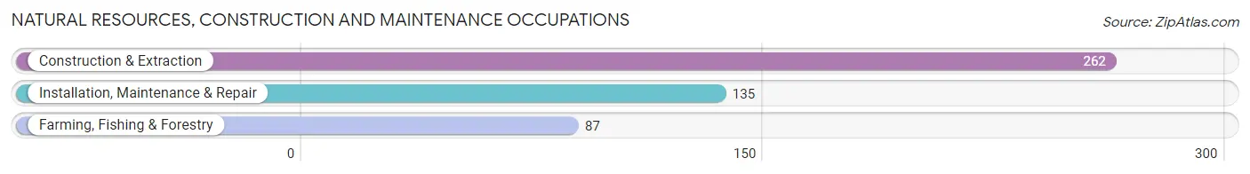 Natural Resources, Construction and Maintenance Occupations in Burlington