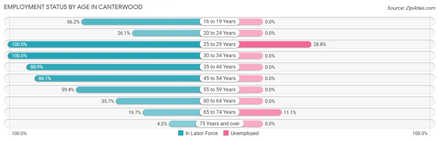Employment Status by Age in Canterwood