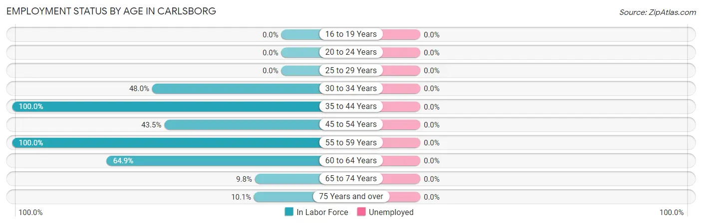 Employment Status by Age in Carlsborg