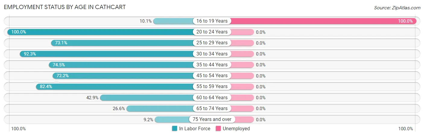 Employment Status by Age in Cathcart