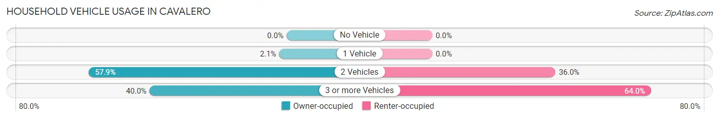 Household Vehicle Usage in Cavalero