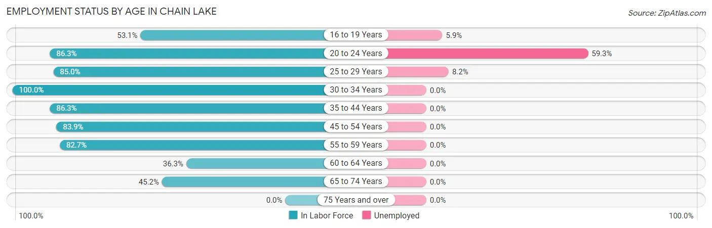 Employment Status by Age in Chain Lake