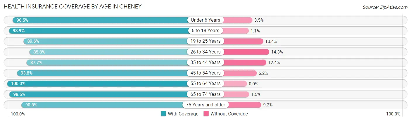 Health Insurance Coverage by Age in Cheney