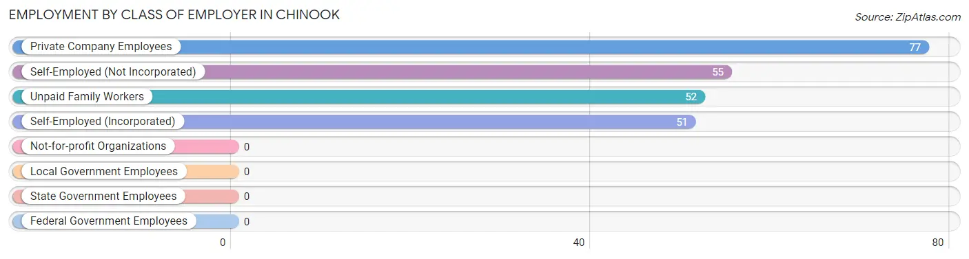 Employment by Class of Employer in Chinook