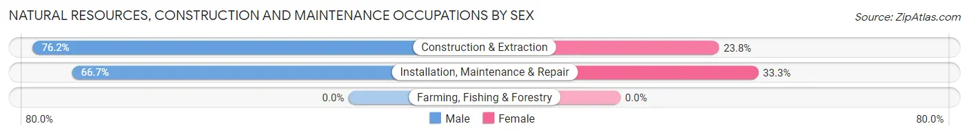 Natural Resources, Construction and Maintenance Occupations by Sex in Clyde Hill