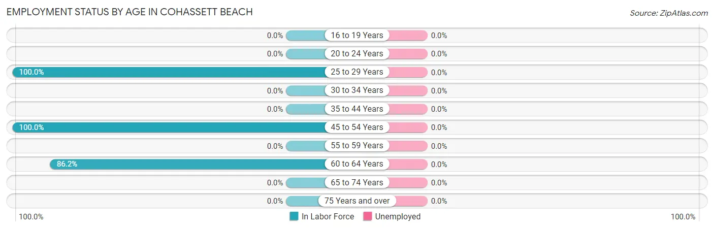 Employment Status by Age in Cohassett Beach