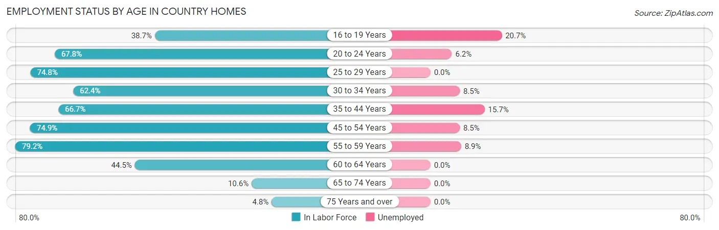 Employment Status by Age in Country Homes