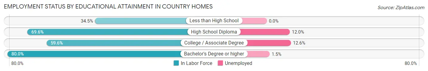 Employment Status by Educational Attainment in Country Homes