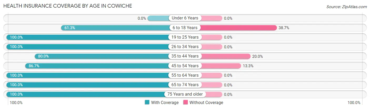 Health Insurance Coverage by Age in Cowiche