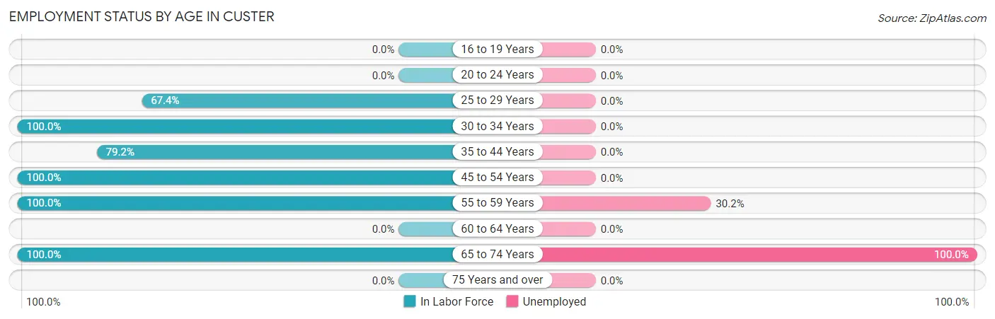 Employment Status by Age in Custer