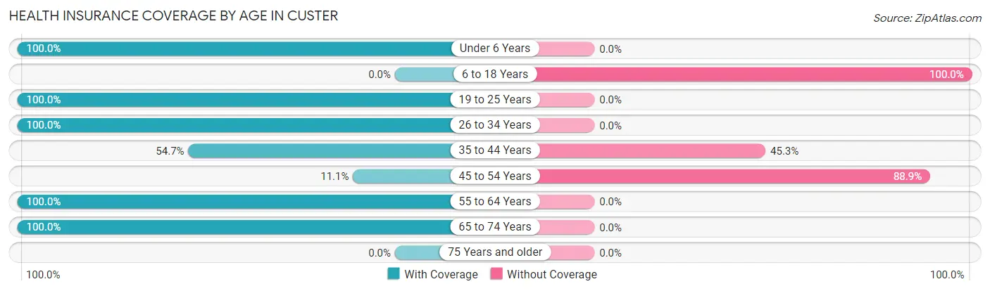 Health Insurance Coverage by Age in Custer