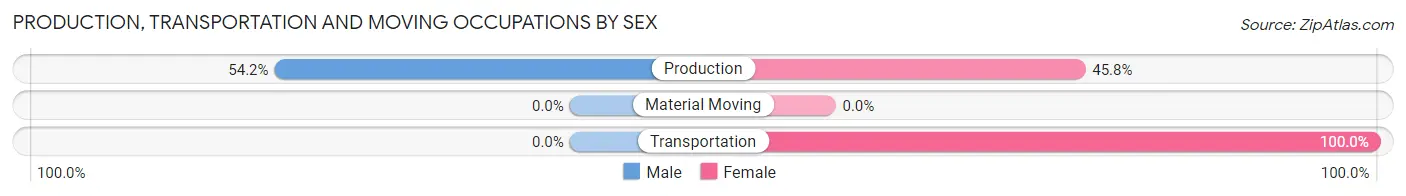 Production, Transportation and Moving Occupations by Sex in Custer