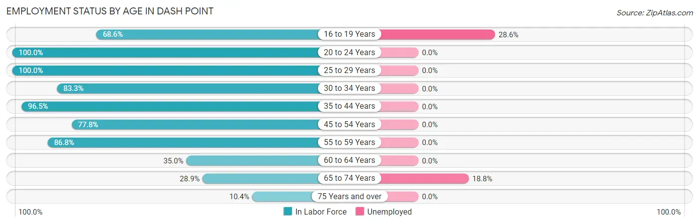 Employment Status by Age in Dash Point