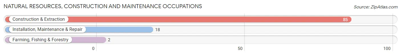 Natural Resources, Construction and Maintenance Occupations in Davenport