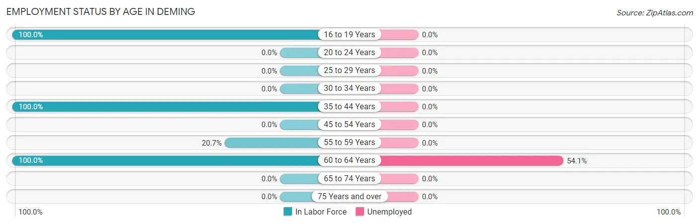Employment Status by Age in Deming