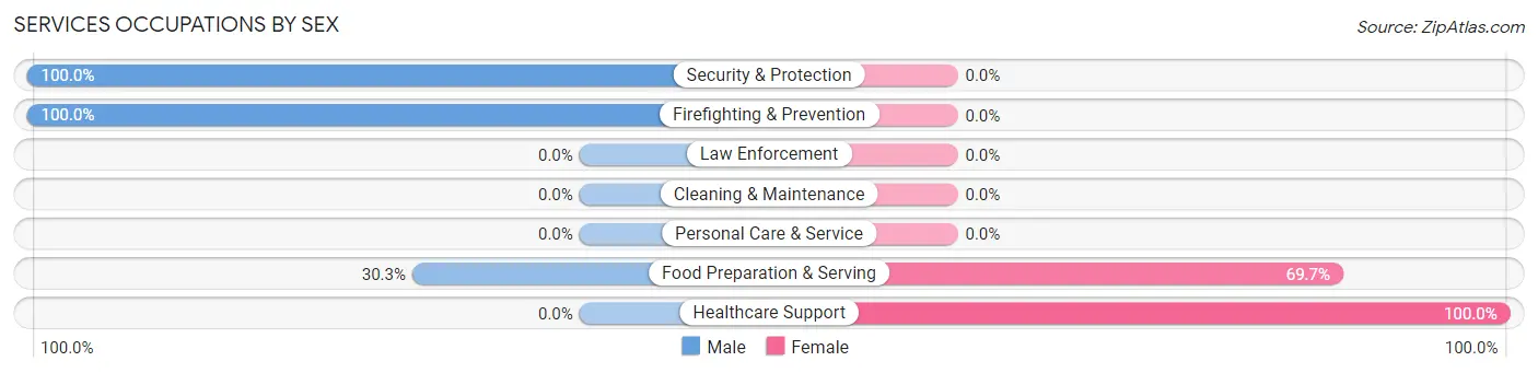 Services Occupations by Sex in Duluth
