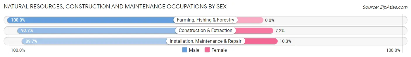 Natural Resources, Construction and Maintenance Occupations by Sex in Ellensburg