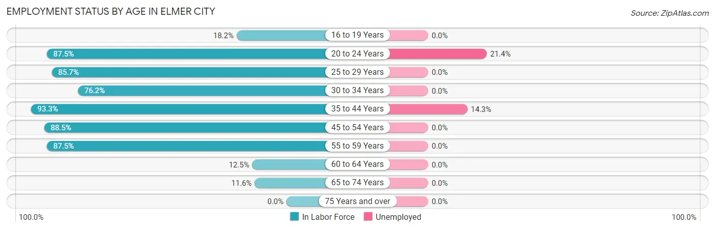 Employment Status by Age in Elmer City