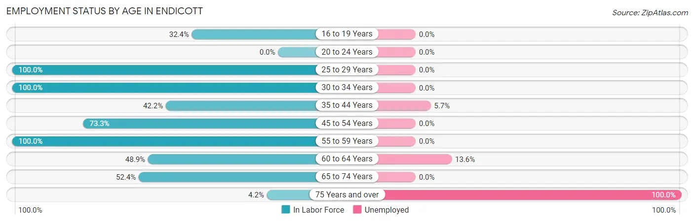 Employment Status by Age in Endicott