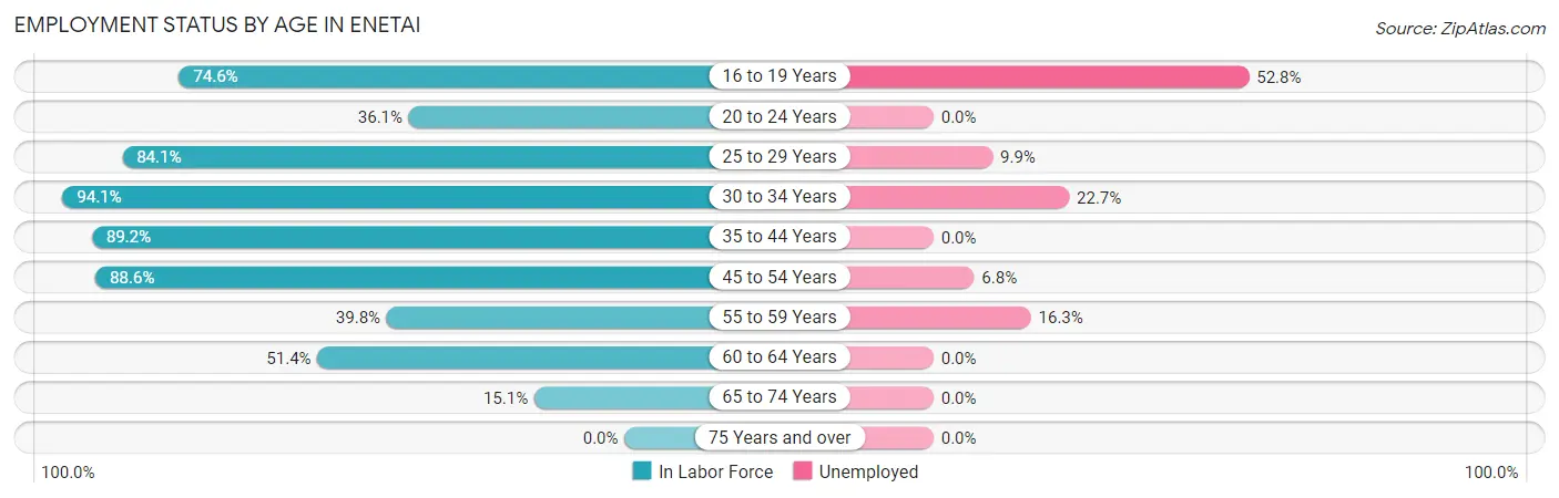 Employment Status by Age in Enetai