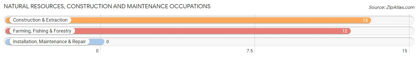 Natural Resources, Construction and Maintenance Occupations in Eschbach