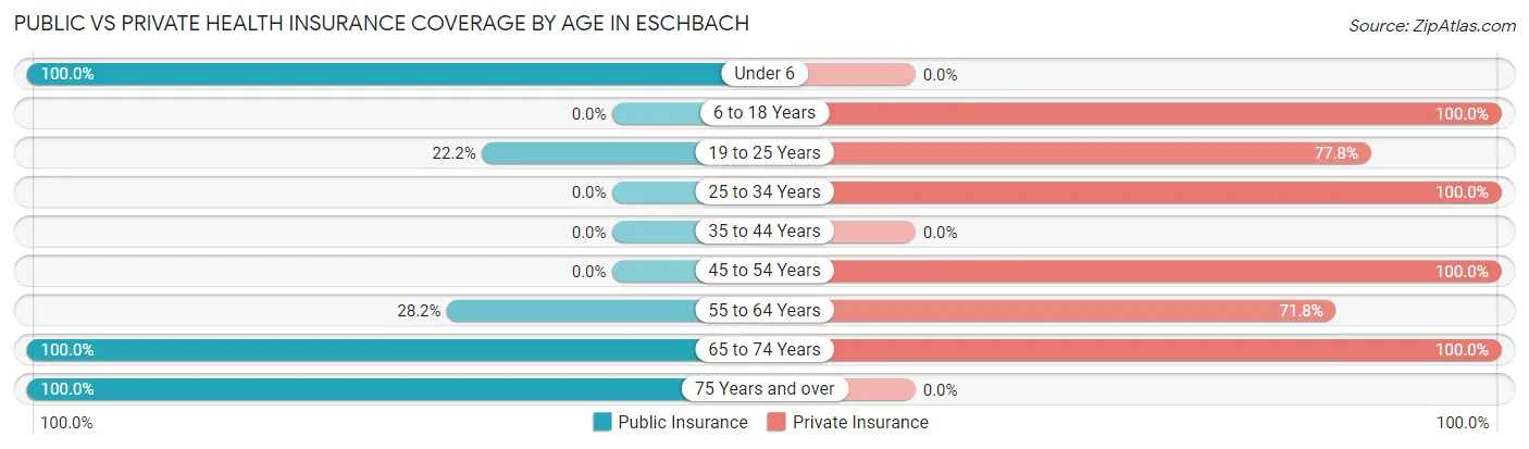 Public vs Private Health Insurance Coverage by Age in Eschbach
