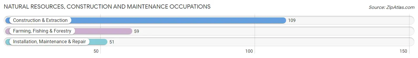 Natural Resources, Construction and Maintenance Occupations in Everson